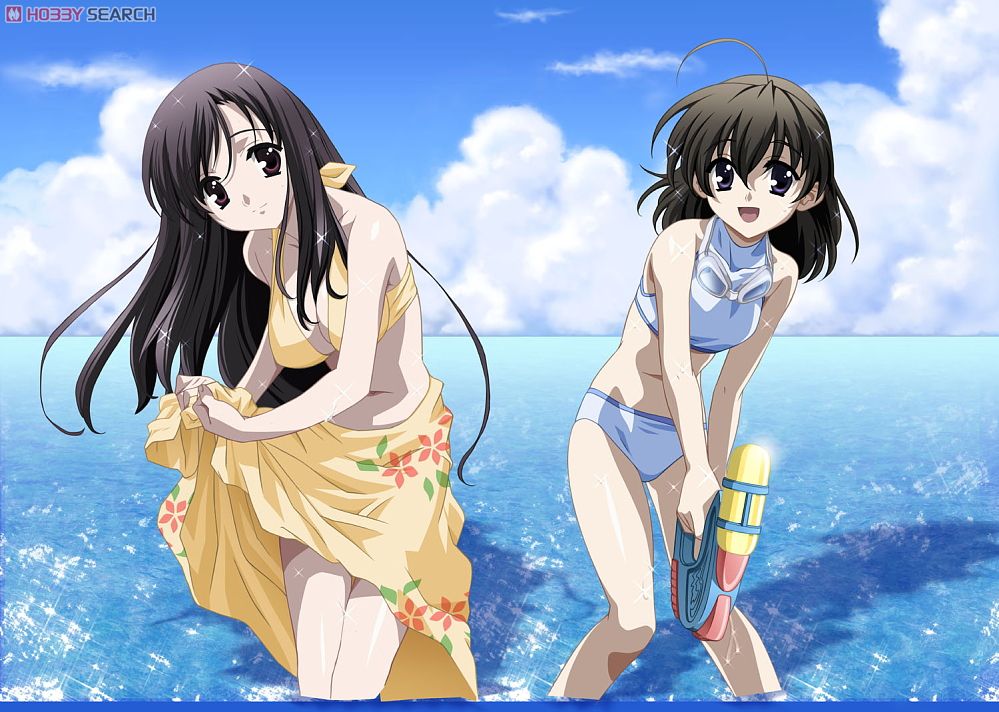 School Days タペストリーA (桂言葉＆西園寺世界) (キャラクターグッズ