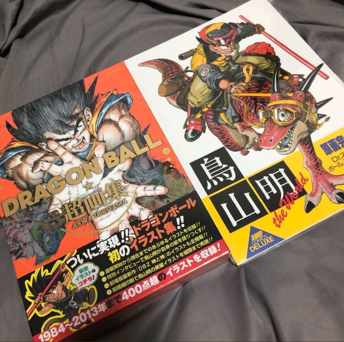DRAGON BALL超画集 鳥山明 the world 2冊セット 新品｜Yahoo!フリマ