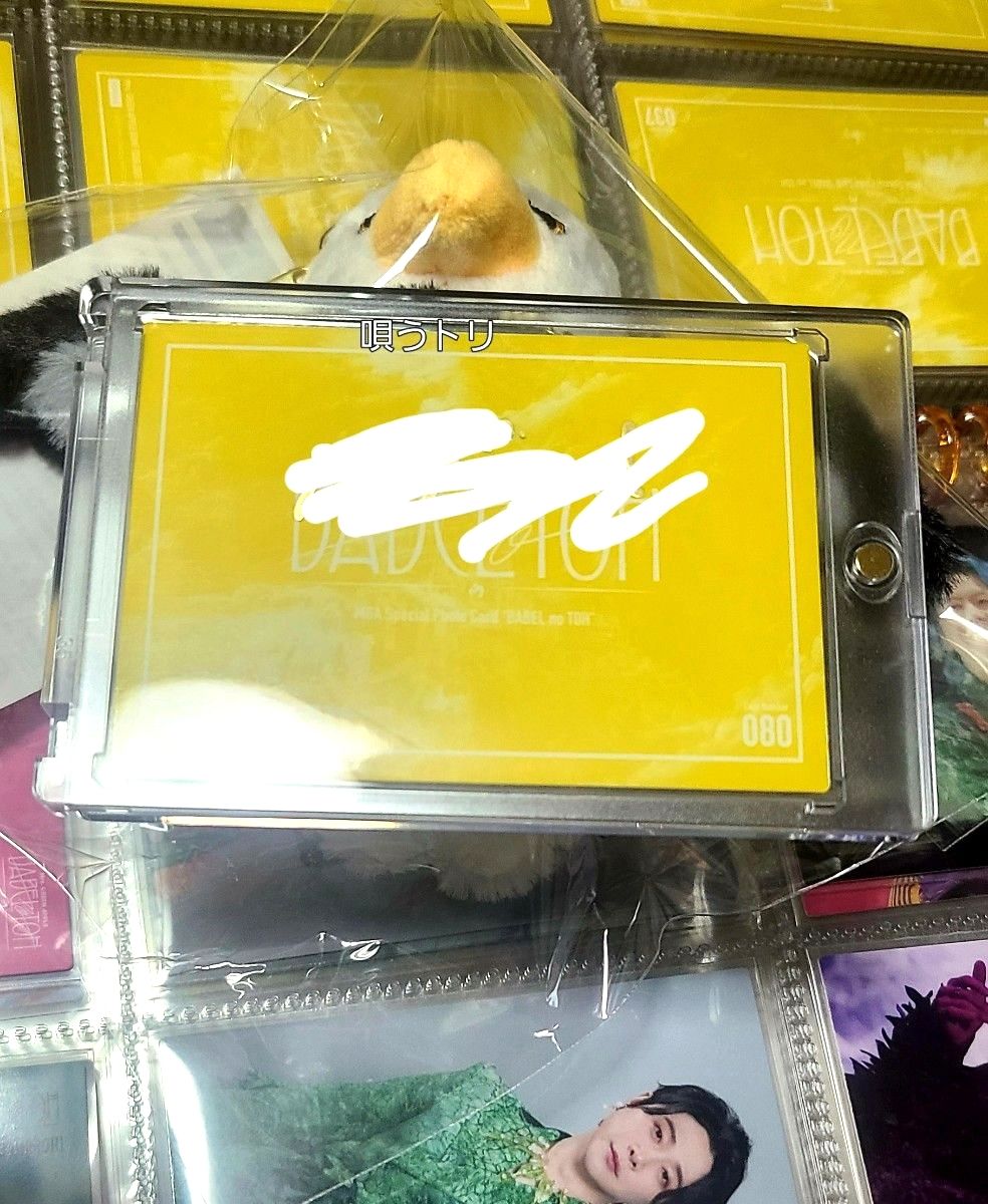 Mrs GREEN APPLE 大森元貴さん 直筆サイン入り フォトカ・バベル