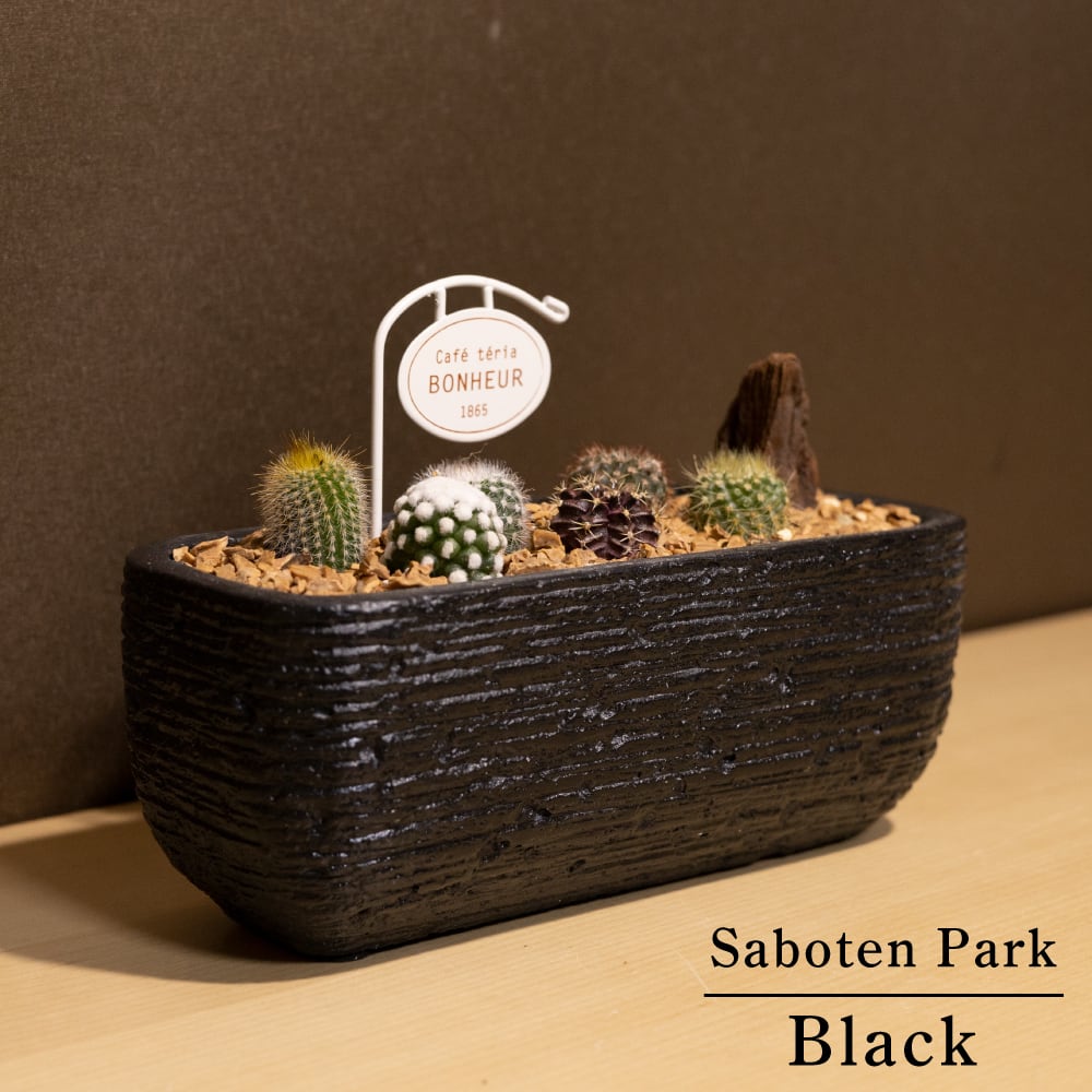 ミニサボテン公園 そのまま飾れる サボテン寄せ植え 箱庭 陶器鉢