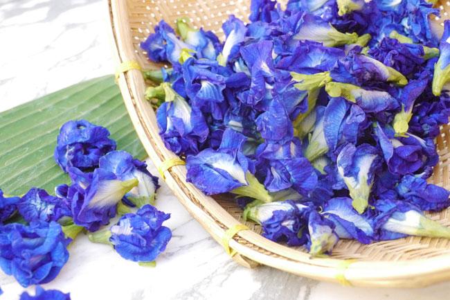 アンチャンの花は、やさしいハーブ | 基礎知識 | Personnel Consultant