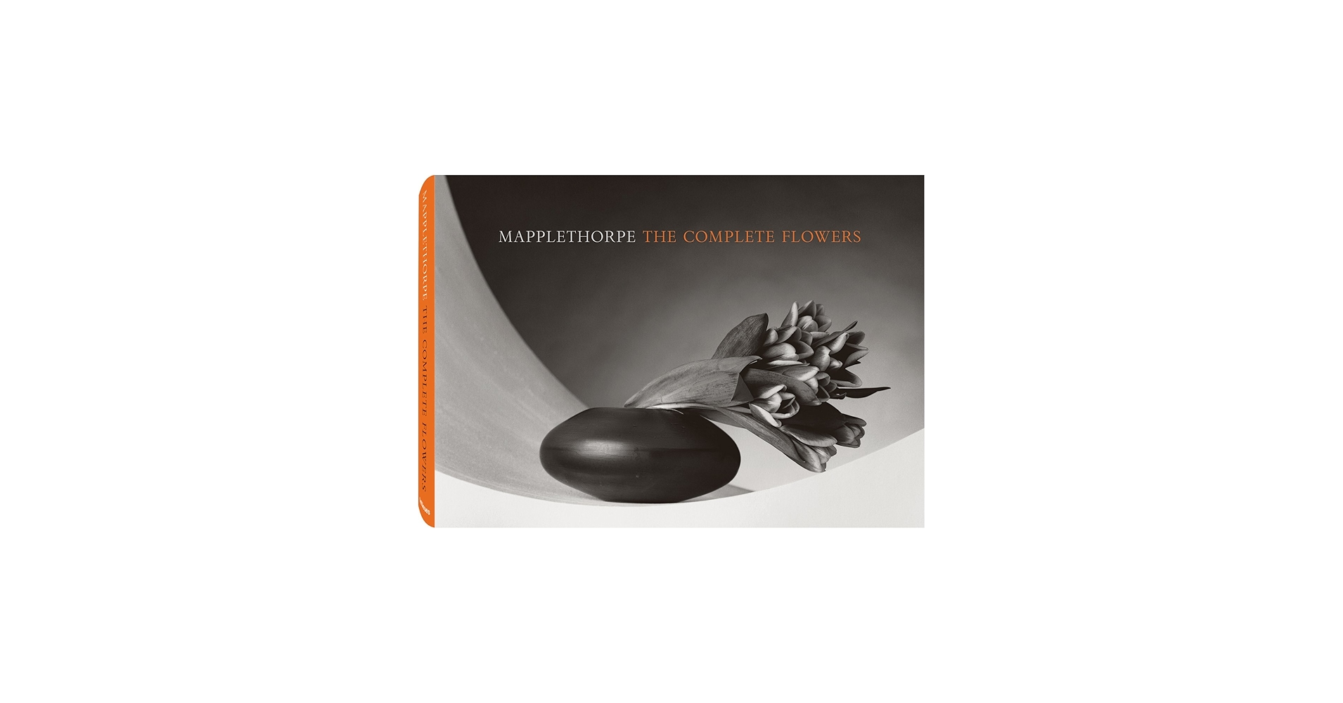 Amazon.com: Mapplethorpe: The Complete Flowers (English and German