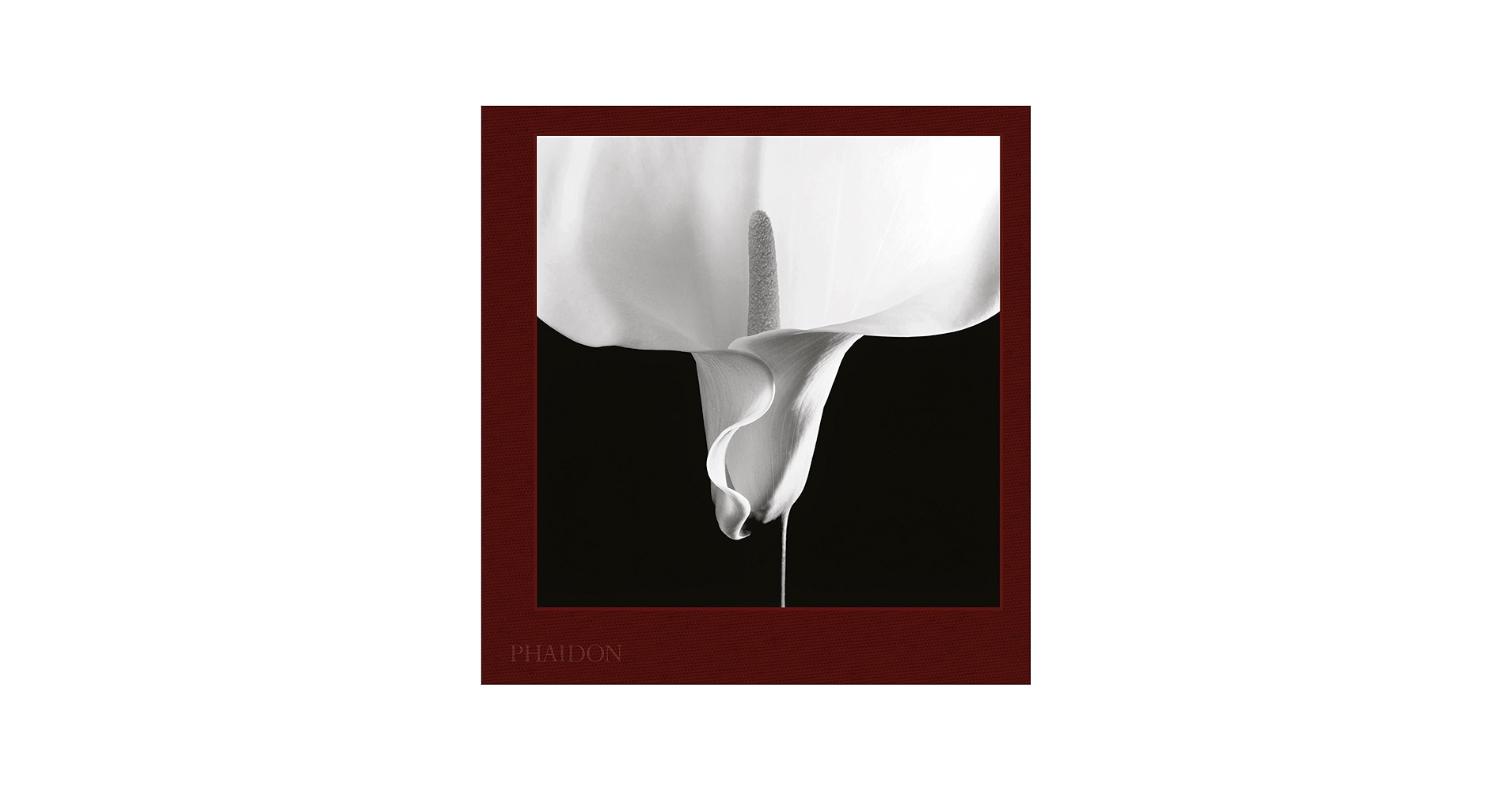 Mapplethorpe Flora: The Complete Flowers: Holborn, Mark, Levas