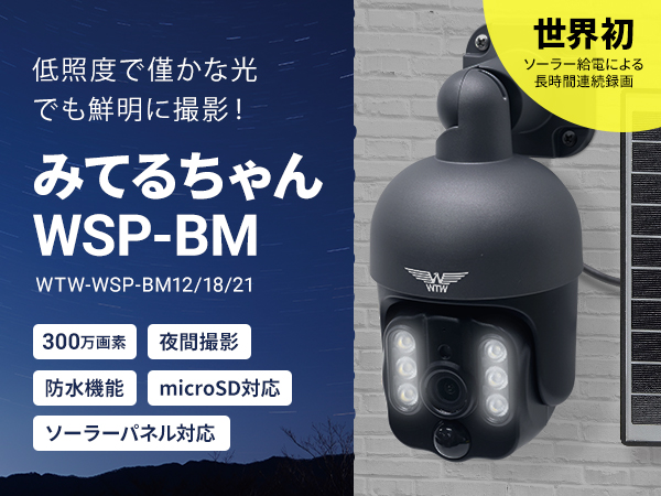 Amazon.co.jp: WTW 塚本無線 みてるちゃんWSPブルームーン 21000mAh