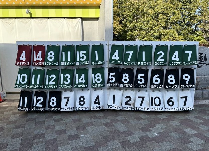 競馬 サウンドトゥルー第42回帝王賞実使用ゼッケン 森泰斗元騎手サイン