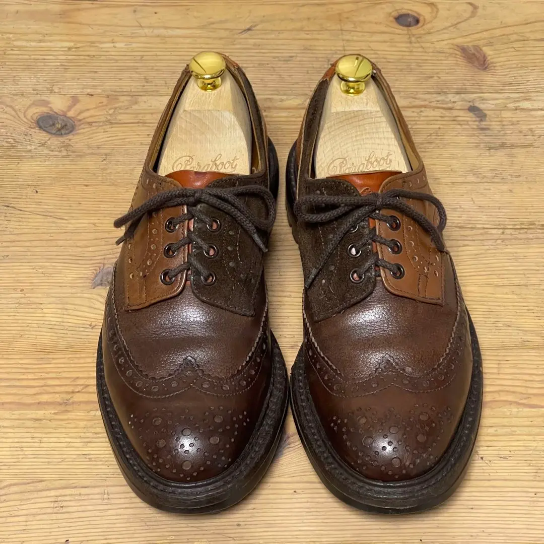 2026年最新】ネペンテス トリッカーズの人気アイテム - メルカリ