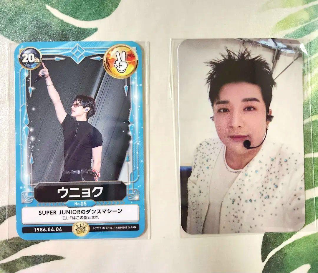 SUPERJUNIOR 2026 ELF JAPAN スペシャルキット トレカ - メルカリ