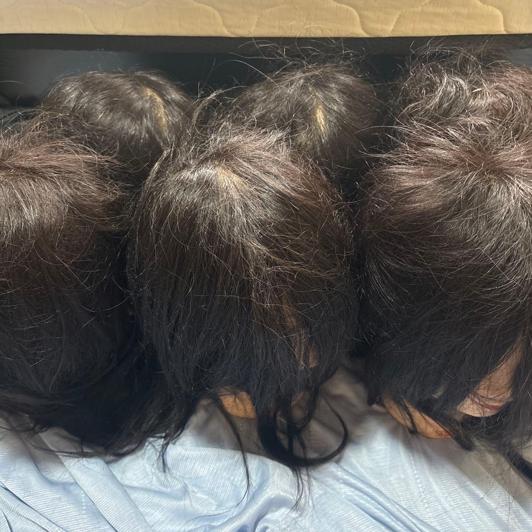 新品未使用！ 国家試験練習用カットウィッグ！　6台！ カットウィッグ 美容師 マイスター 国家試験 練習 美容師国家試験 練習