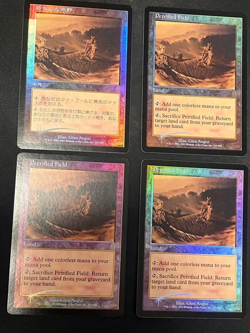MTG【石化した原野/Petrified Field】foil ODY 石化した原野/Petrified Field》[ODY] 土地R | 日本最大級 MTG通販